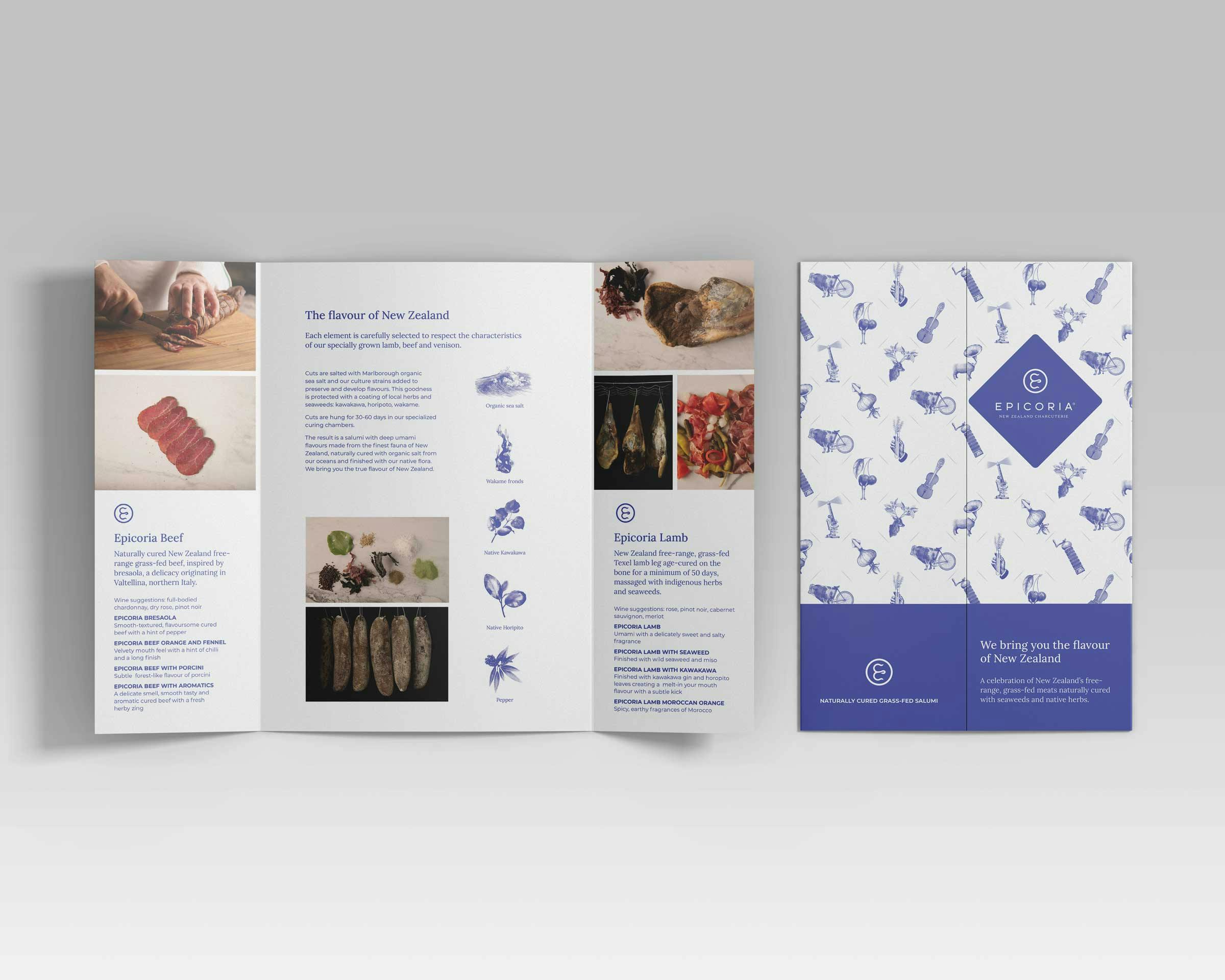 Epicoria Foldout Brochure Design 